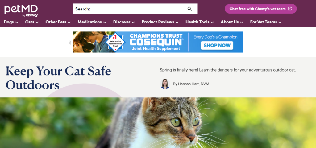 PetMD pet health newsletter