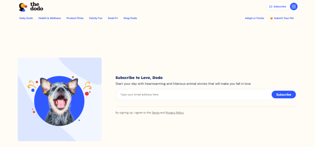 The Dodo animal stories newsletter
