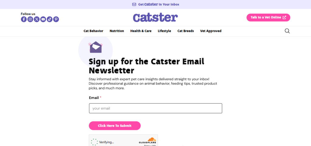 Catster cat care newsletter